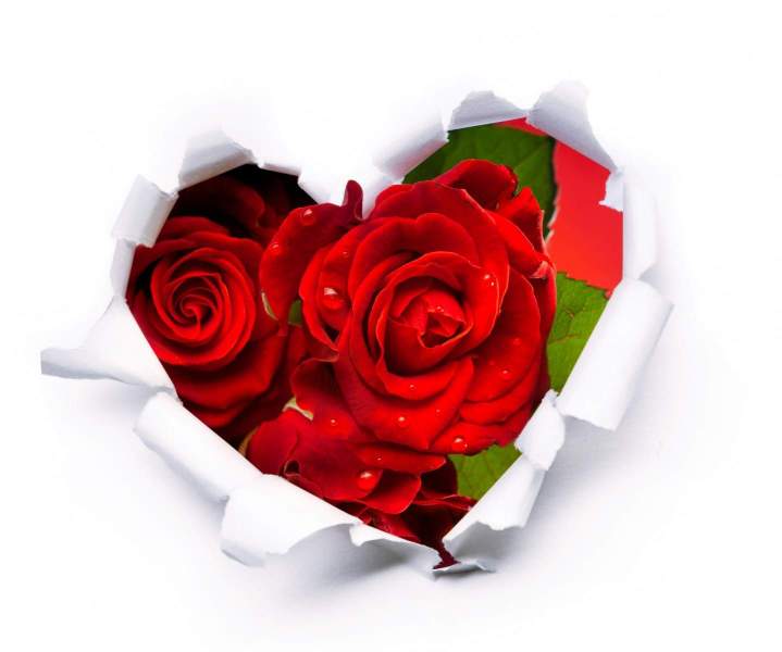 shutterstock 94109653